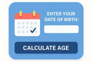 Free Online Age Calculator – Find Your Exact Age Instantly