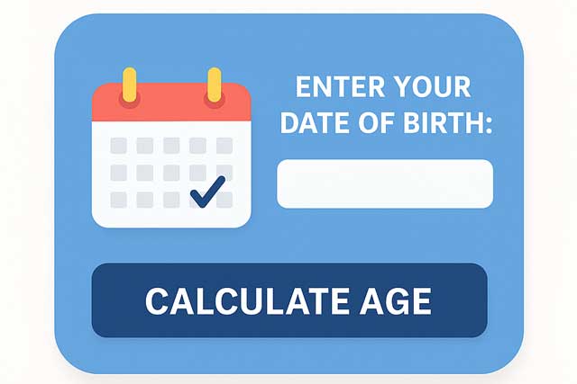 Free Online Age Calculator – Find Your Exact Age Instantly